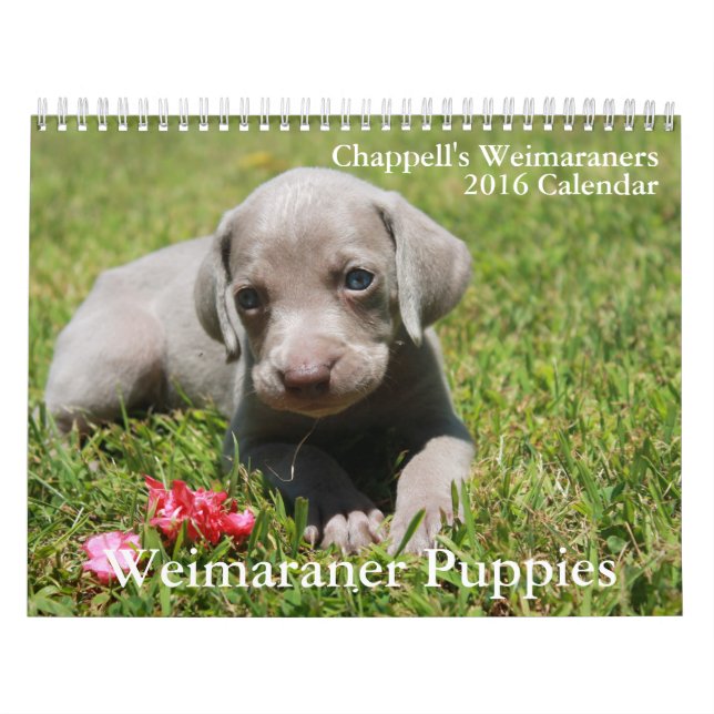 Weimaraner Calendar (Cover)