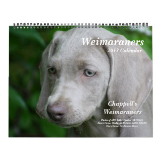 Weimaraner Calendar 1