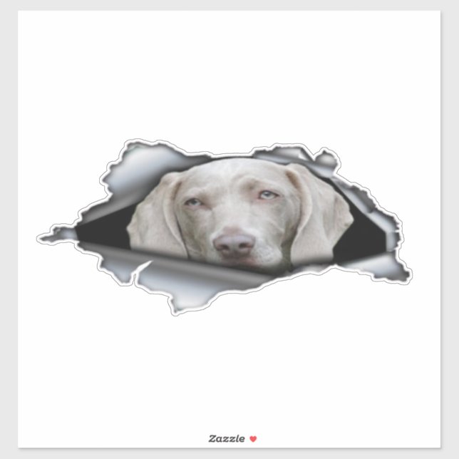 Weimaraner Car stickers Weimaraner sticker (Sheet)