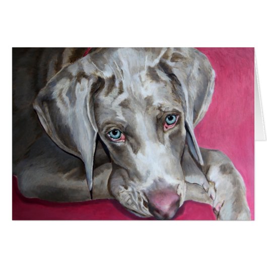 Weimaraner Cards (Front Horizontal)