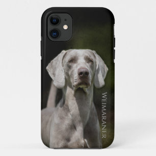 Weimaraner iPhone 11 Case