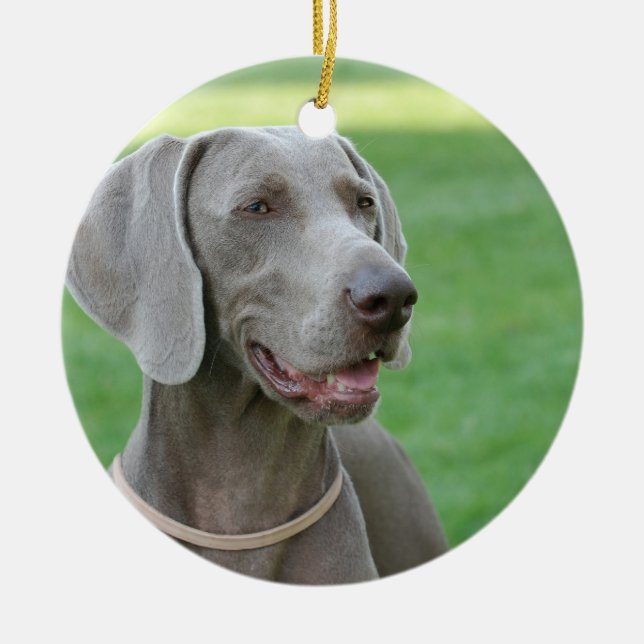 Weimaraner Ceramic Ornament (Front)