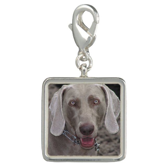 Weimaraner Charm (Front)