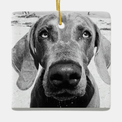 WEIMARANER CHRISMAS ORNAMENT