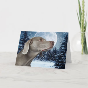 Weimaraner Christmas Card
