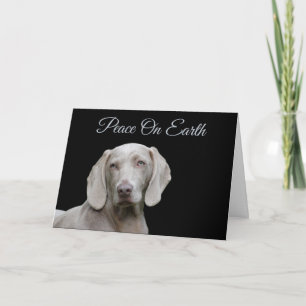 Weimaraner Christmas Holiday Card