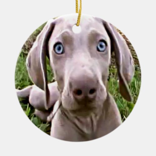 WEIMARANER CHRISTMAS ORNAMENT