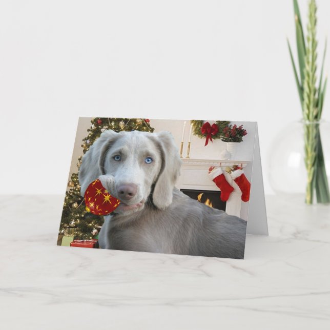 Weimaraner Christmas Ornament Cards (Front)