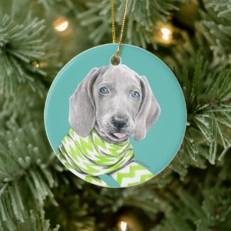 Weimaraner cute puppy with scarf Dog portrait art