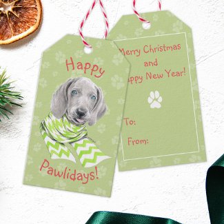 Weimaraner cute puppy with scarf Dog portrait art