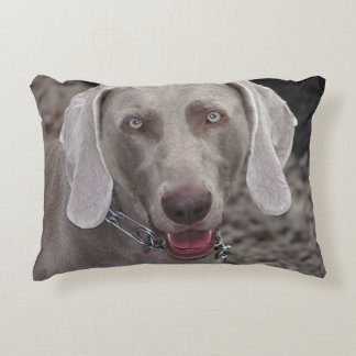 Weimaraner Decorative Pillow
