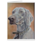 Weimaraner dog (Front)