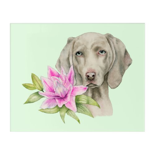 Weimaraner Dog and Lily Watercolor Painting Acrylic Print