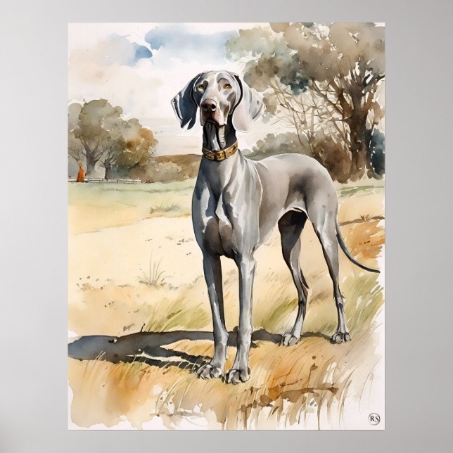 Weimaraner - Dog Art Print (Front)