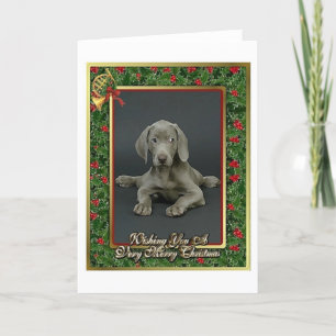 Weimaraner Dog Blank Christmas Card