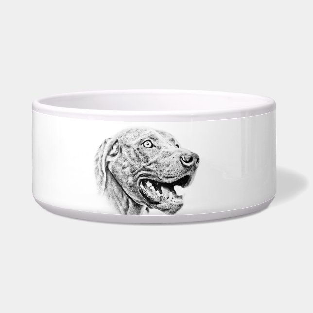 Weimaraner dog bowl (Front)