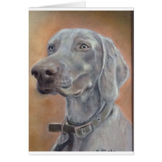 Weimaraner dog cards (Front)