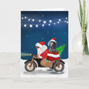 Weimaraner Dog Christmas Santa Claus Card