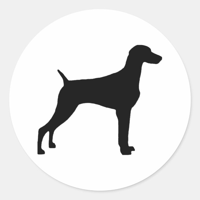 Weimaraner Dog (in black) Classic Round Sticker (Front)