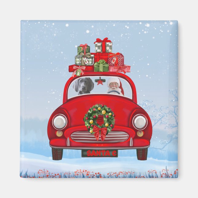 Weimaraner Dog In Car With Santa Claus Magnet (Front)