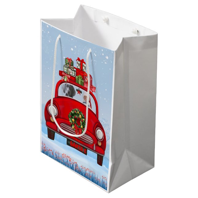 Weimaraner Dog In Car With Santa Claus Medium Gift Bag (Front Angled)