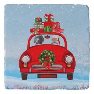 Weimaraner Dog In Car With Santa Claus Trivet