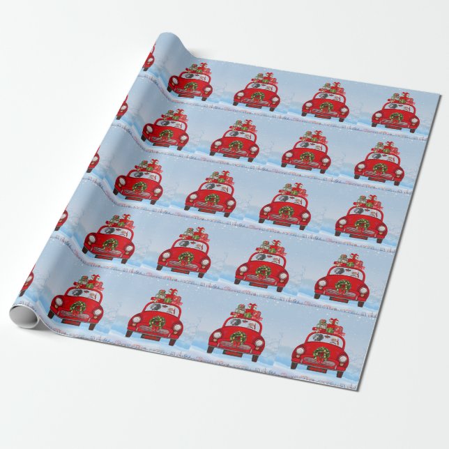 Weimaraner Dog In Car With Santa Claus Wrapping Paper (Unrolled)