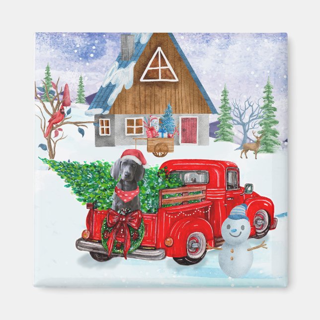 Weimaraner Dog In Christmas Delivery Truck Snow Magnet (Front)