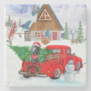 Weimaraner Dog In Christmas Delivery Truck Snow Stone Coaster