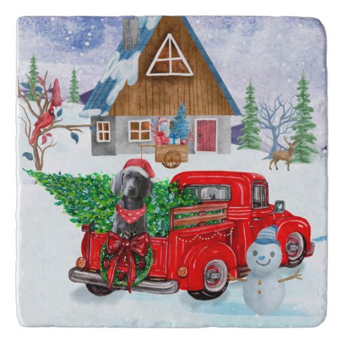 Weimaraner Dog In Christmas Delivery Truck Snow  Trivet