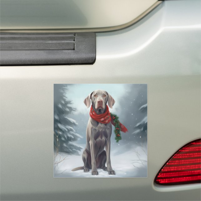 Weimaraner Dog in Snow Christmas Car Magnet (In Situ)