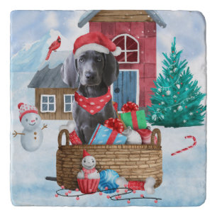 Weimaraner Dog In snow Christmas Dog House Trivet