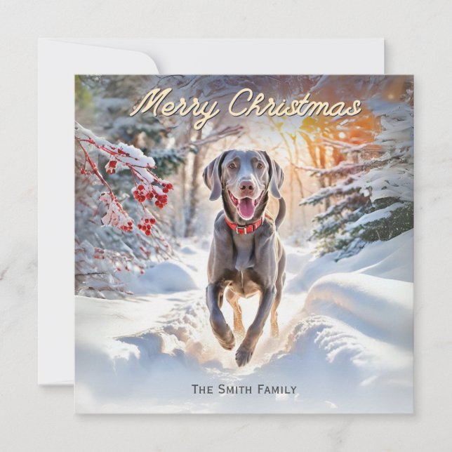 Weimaraner Dog In Snow Merry Christmas Holiday Card (Front)