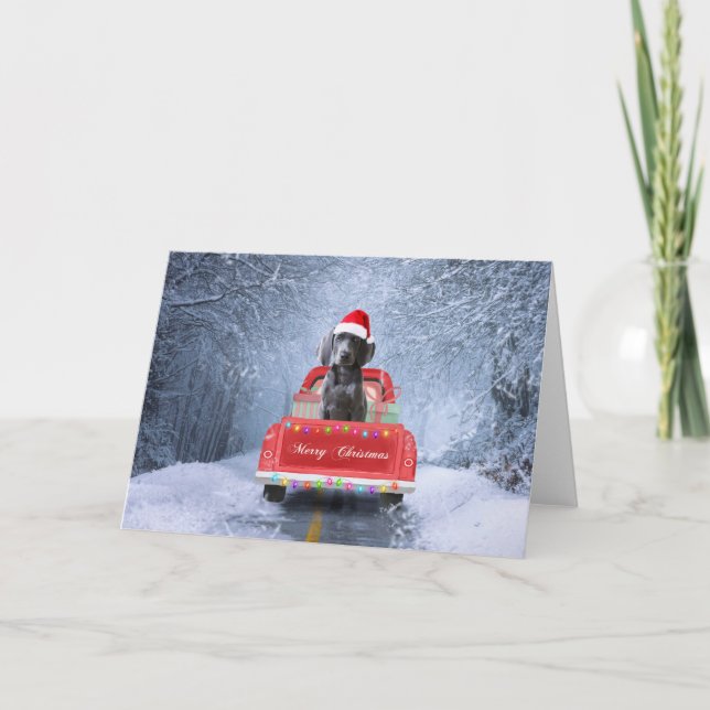 Weimaraner Dog in Snow sitting in Christmas Truck Card (Front)