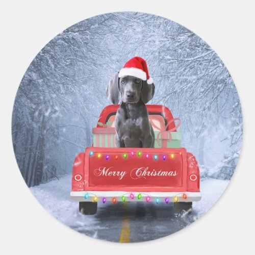 Weimaraner Dog in Snow sitting in Christmas Truck  Classic Round Sticker