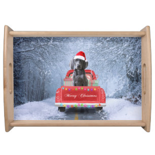 Weimaraner Dog in Snow sitting in Christmas Truck Serving Tray