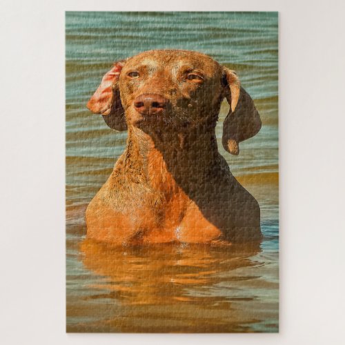 Weimaraner Dog Jigsaws Jigsaw Puzzle