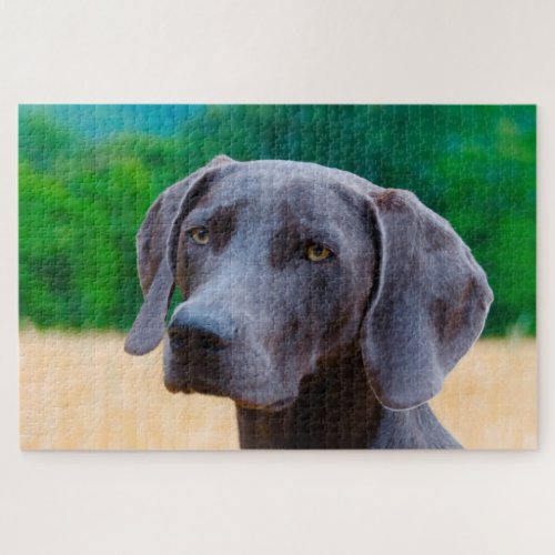 Weimaraner Dog Jigsaws Jigsaw Puzzle