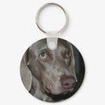 Weimaraner Dog Keychain