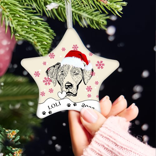 Weimaraner Dog Personalized Hand Drawing Ceramic Ornament