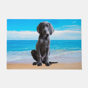 Weimaraner Dog Sitting On Beach Doormat