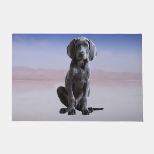 weimaraner doormat