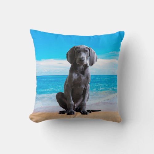 Weimaraner Dog Sitting On Beach Throw Pillow