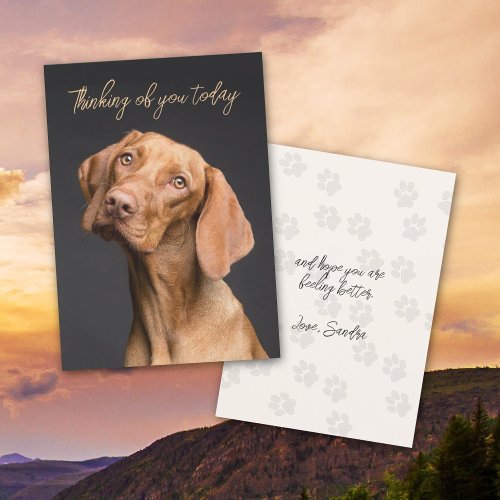 Weimaraner Dog Thinking of You Card