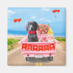 Weimaraner Dog Valentine's Day Truck Hearts Magnet