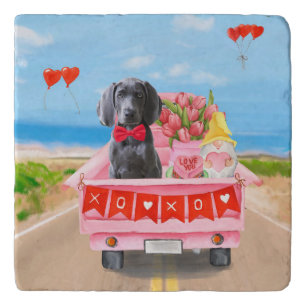 Weimaraner Dog Valentine's Day Truck Hearts Trivet