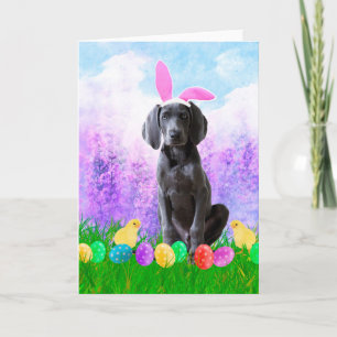 Weimaraner Dog with Easter Eggs Bunny Chicks Holiday Card