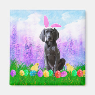 Weimaraner Dog with Easter Eggs Bunny Chicks Magnet
