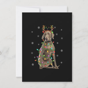 Weimaraner Dog Xmas Lighting Reindeer Weimaraner C Invitation