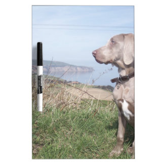 Weimaraner Dry-Erase Board